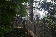 /sites/default/files/styles/medium/public/2023-07/IMGP0886.jpeg?itok=uzPtNEBu